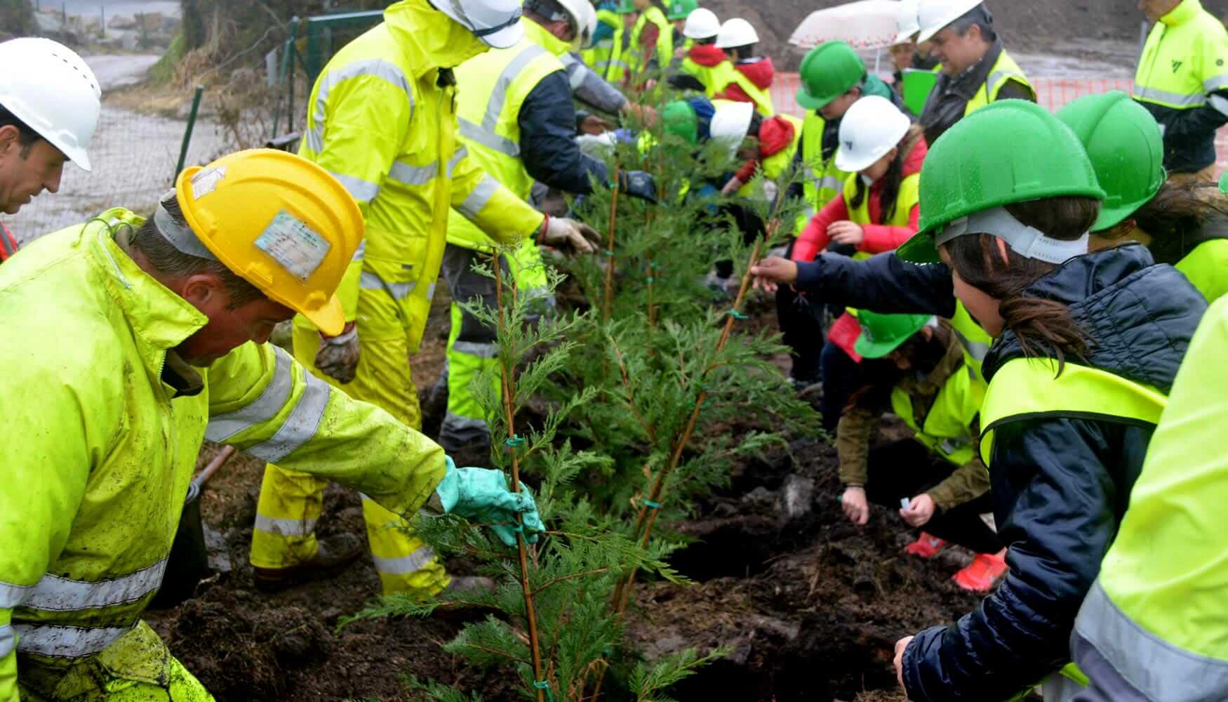 Curso Técnico em Meio Ambiente