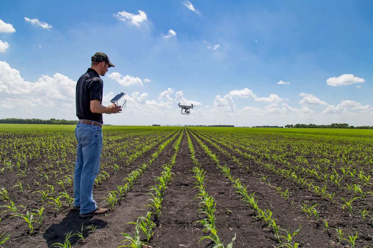 Técnico em Agronegócio EAD