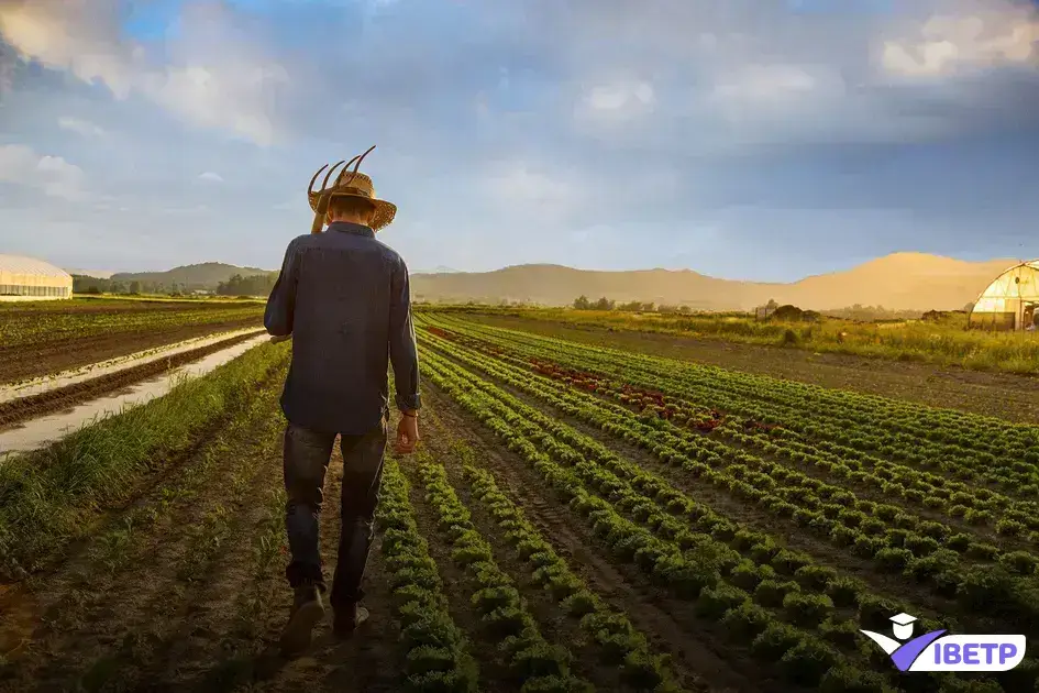 diferenciais, técnico em agronegócio, agronegócio, empreendedorismo, inovação, sustentabilidade