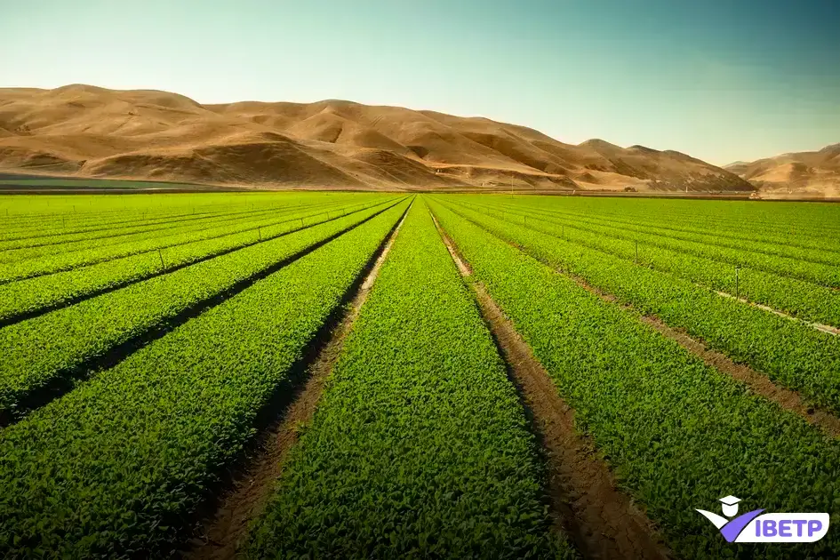 negócio, agricultura, empreendedorismo, agronegócio