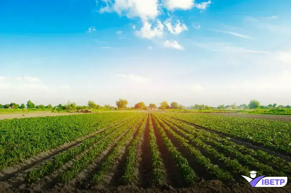 salário, remuneração, técnico em agricultura, mercado de trabalho