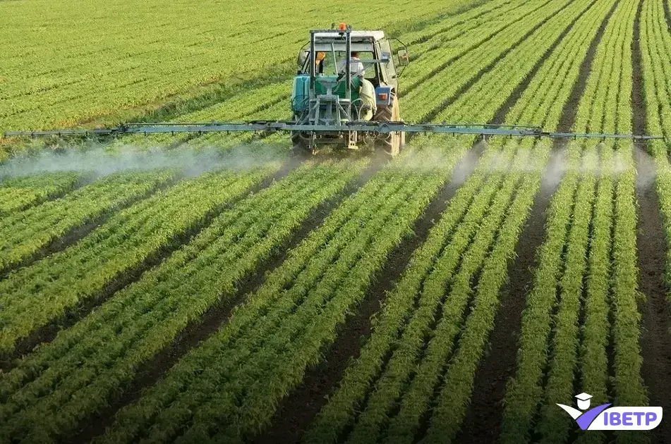 técnico, engenheiro agrônomo, agronomia, ensino técnico, ensino superior