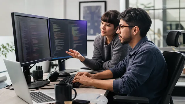 Profissionais desenvolvendo sistemas de software