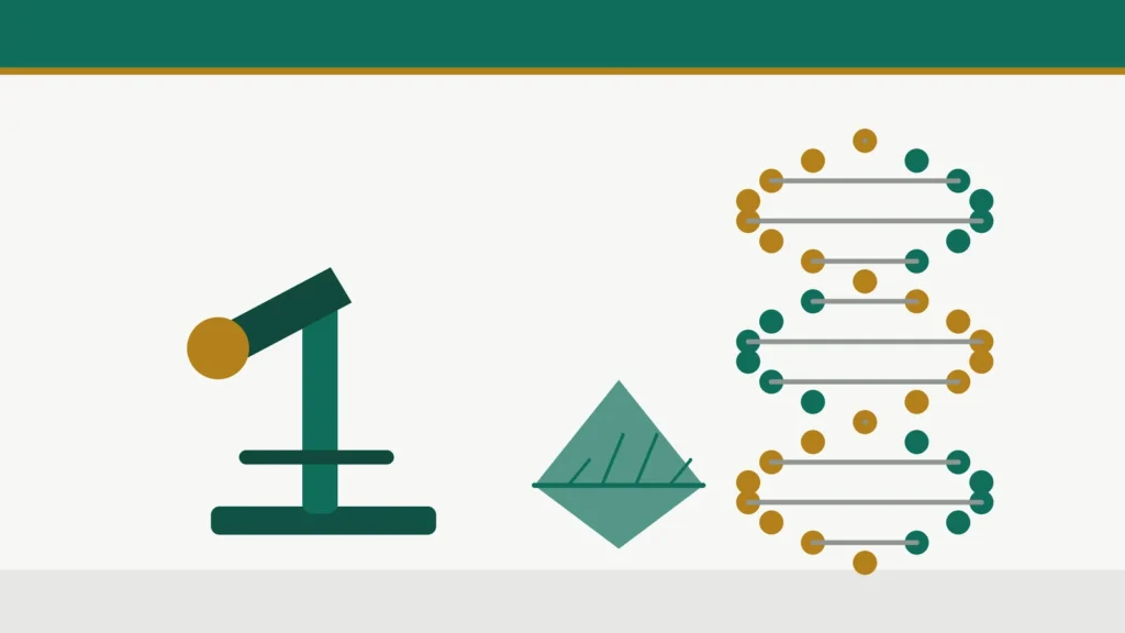Ilustração sobre o concurso SEDUC PA 2026 para professor de biologia