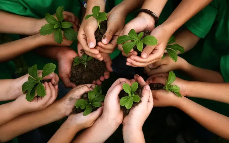 Educação Ambiental e Sustentabilidade