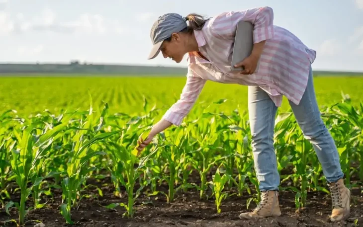 Graduação em Engenharia Agronômica